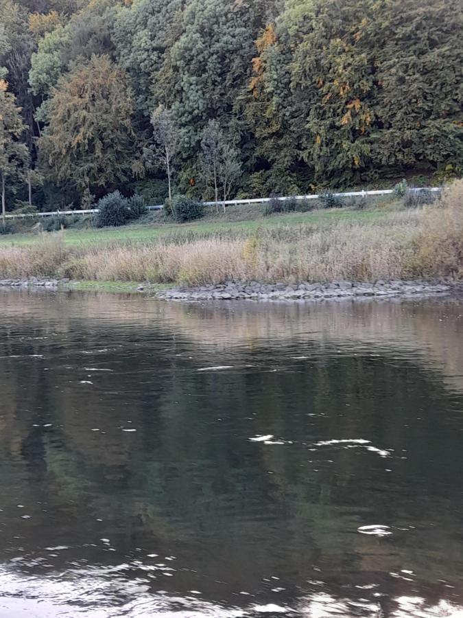 Why Not Strandblick Lägenhet Polle Exteriör bild